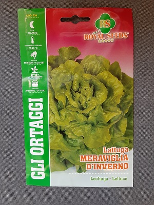 BUSTA ORTO MAXI LATTUGA MERAVIGLIA D'INVERNO MAXI