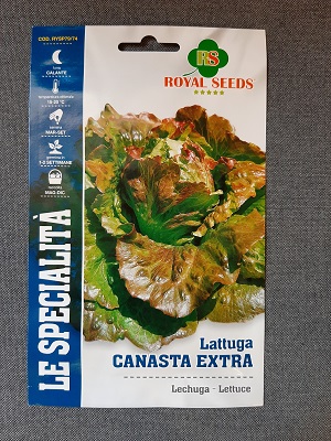 BUSTA MAXI SPEC.LATTUGA MARAVIGLIA VERANO EXTRA R.S.