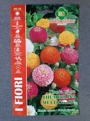 BUSTA FIORI ZINNIA NANA THUMBELINA MULTICOLOR RS