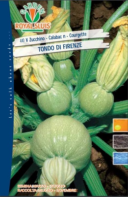 BUSTA ORTO maxi ZUCCHINO TONDO DI FIRENZE  RS