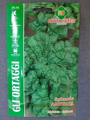 BUSTA ORTO MAXI SPINACIO AMERICA RS