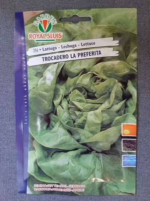 BUSTA ORTO MAXI LATTUGA TROCADERO LA PREFERITA RS