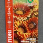 BUSTA FIORI MAXI GAZANIA MULTICOLOR