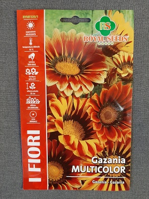 BUSTA FIORI MAXI GAZANIA MULTICOLOR
