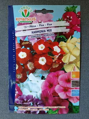 BUSTA FIORI PHLOX ANNUALE HARMONIA MIX