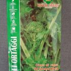 BUSTA ORTO CIMA DI RAPA SESSANTINA