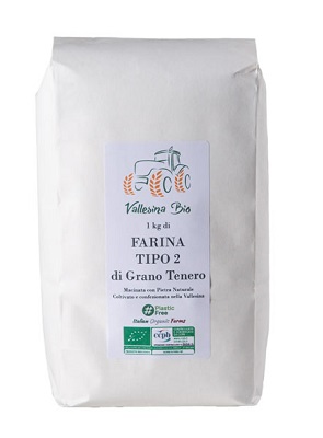 FARINA TIPO 2 KG 1 VALLESINA BIO
