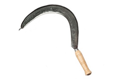 FALCIOLA ROMAGNA N. 1