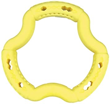 GIOCO CANE ANELLO VANIGLIA 21 CM VADIGRAN