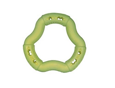 GIOCO CANE ANELLO MELA VERDE 21 CM VADIGRAN