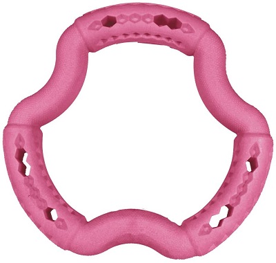GIOCO CANE ANELLO FRUTTI ROSSI 21 CM VADIGRAN
