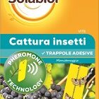 SOLABIOL CATTURA INSETTI VITE 5 TRAPPOLE PRONTE ALL'USO