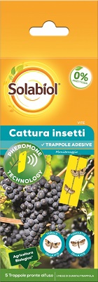 SOLABIOL CATTURA INSETTI VITE 5 TRAPPOLE PRONTE ALL'USO