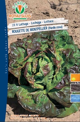 BUSTA ORTO LATTUGA ROUGETTE DE MONTPELLIER MAXI