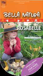 MINI TUBERI PATATA ROSABELLE PZ.25