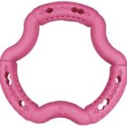 GIOCO CANE ANELLO FRUTTI ROSSI 12 CM VADIGRAN