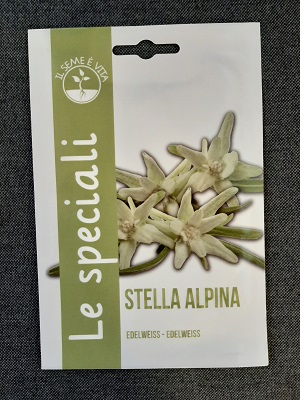 BUSTA STELLA ALPINA