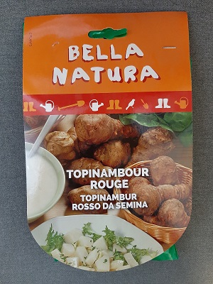 TOPINAMBUR ROSSO 5 PIANTE