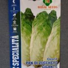 BUSTA ORTO CICORIA PAN DI ZUCCHERO GIGANTE RS