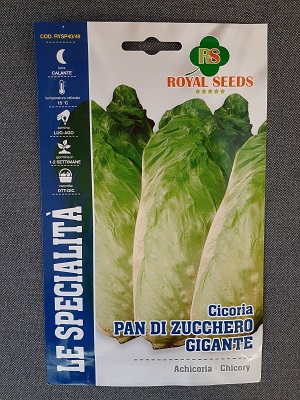 BUSTA ORTO CICORIA PAN DI ZUCCHERO GIGANTE RS