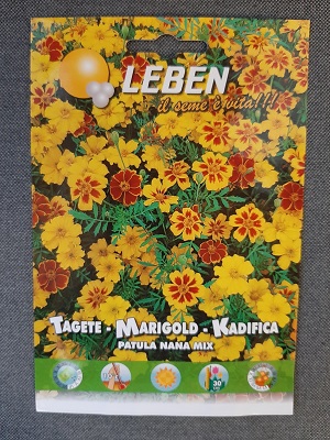 BUSTA FIORI TAGETE PATULA NANA LEBEN