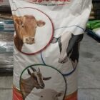 OVIS 160 FIOC KG.25 RAGGIO DI SOLE