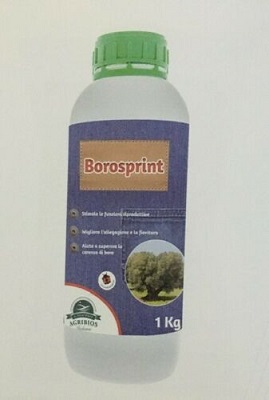 BOROSPRINT FLACONE KG 1 AGRIBIOS