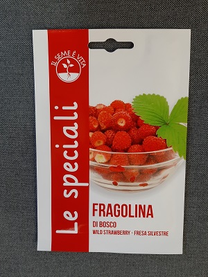 FRAGOLINA DI BOSCO