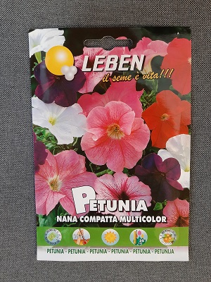 BUSTA FIORI PETUNIA NANA LEBEN