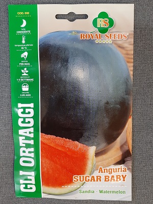 BUSTA ORTO MAXI ANGURIA SUGAR BABY RS