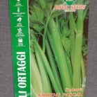 BUSTA ORTO MAXI SEDANO GROENE PASCAL RS