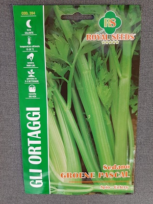 BUSTA ORTO MAXI SEDANO GROENE PASCAL RS