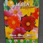BUSTA FIORI DALIA FIORI SEMPLICI LEBEN