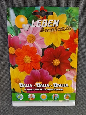 BUSTA FIORI DALIA FIORI SEMPLICI LEBEN