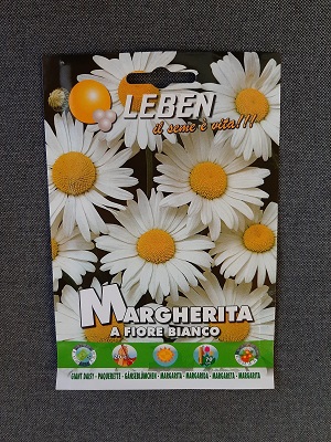 BUSTA FIORI MARGHERITA A FIORE BIANCO LEBEN