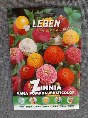 BUSTA FIORI ZINNIA LEBEN
