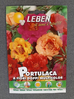 BUSTA FIORI PORTULACA LEBEN 240 GR.MQ.