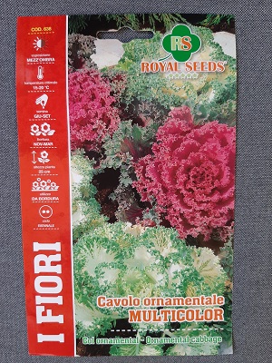 BUSTA FIORI CAVOLO ORNAMENTALE MULTICOLOR RS