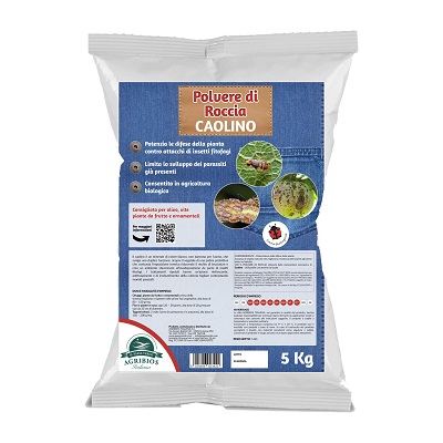 CAOLINO POLVERE KG.5