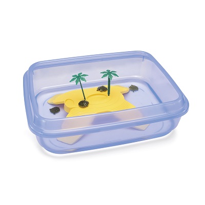 TARTARUGHIERA NINJA TRASPARENTE