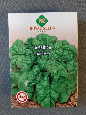 SPINACIO AMERICA 100 GR