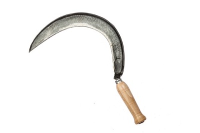 FALCIOLA MEZZA L. 782 4/0 C/GI