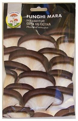 BUSTA SECCO PLEUROTUS GR 100