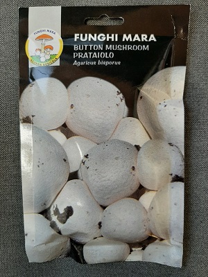 BUSTA SECCO PRATAIOLO BIANCO GR 100