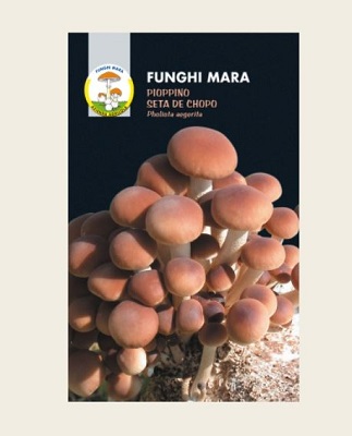 BUSTA SECCO PIOPPINO GR 100