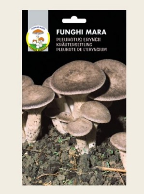 BUSTA SECCO CARDONCELLO GR 100