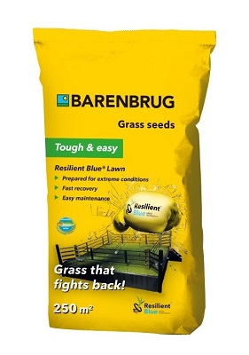 RESILIENT BLUE LAWN COATED KG 5