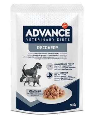 DOG BUSTA RECOVERY GR 100 ADVANCE