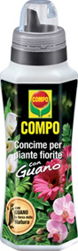 PIANTE FIORITE 1 LT COMPO