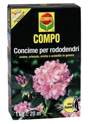 RODODENDRI KG.1 COMPO
